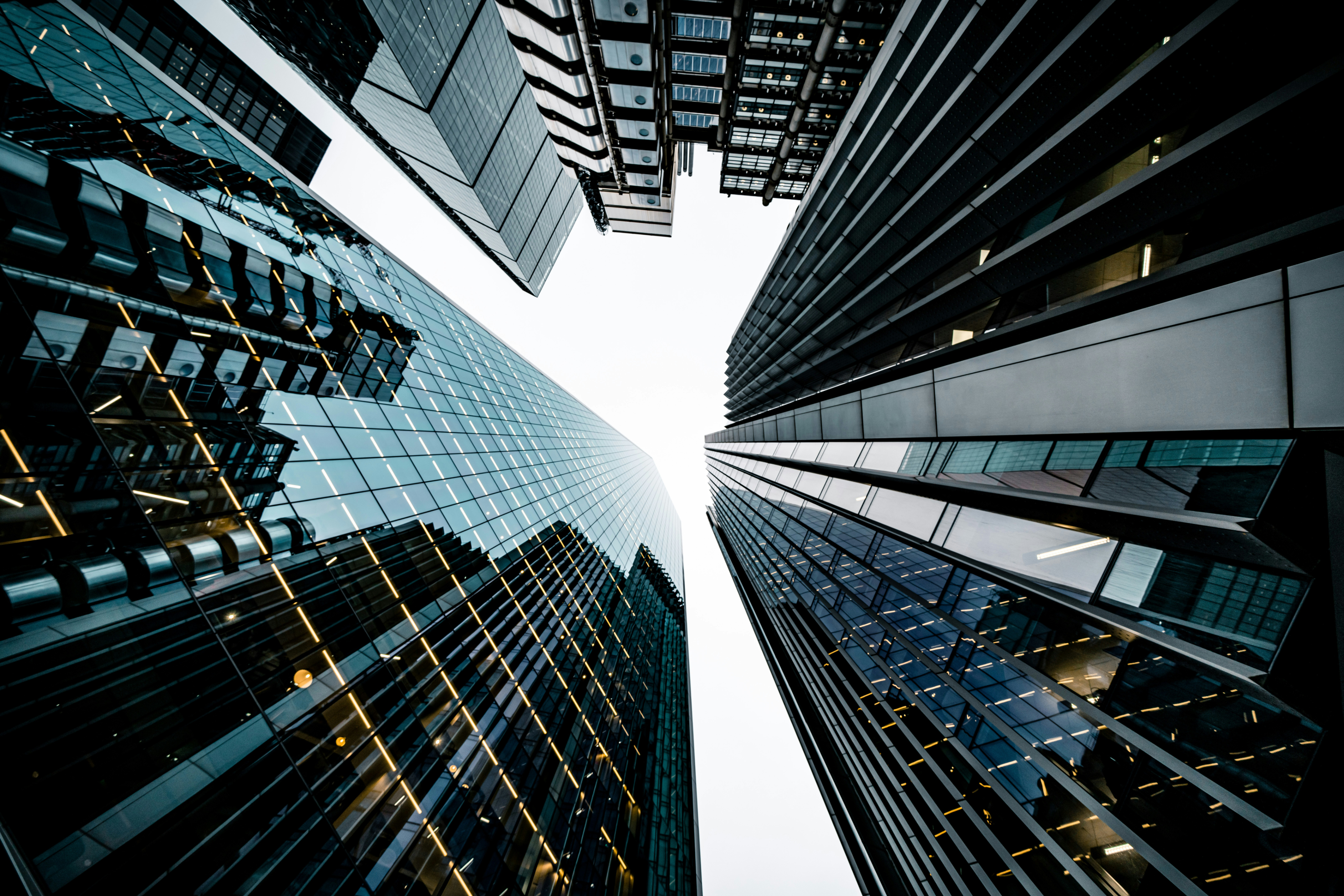 Sustainable Governance