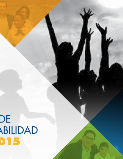 reporte 2015